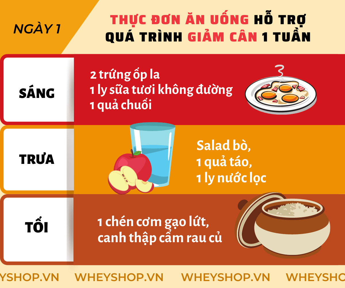 Nếu bạn đang băn khoăn trong việc tìm phương pháp giảm cân trong 1 tuần hiệu quả, đơn giản thì hãy cùng WheyShop tham khảo chi tiết qua bài viết ngay sau đây...