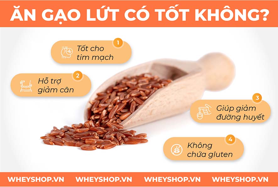 Nếu bạn đang băn khoăn 100g gạo lứt bao nhiêu calo và ăn gạo lứt giảm cân có tốt không thì hãy cùng WheyShop giải đáp thắc mắc qua bài viết...