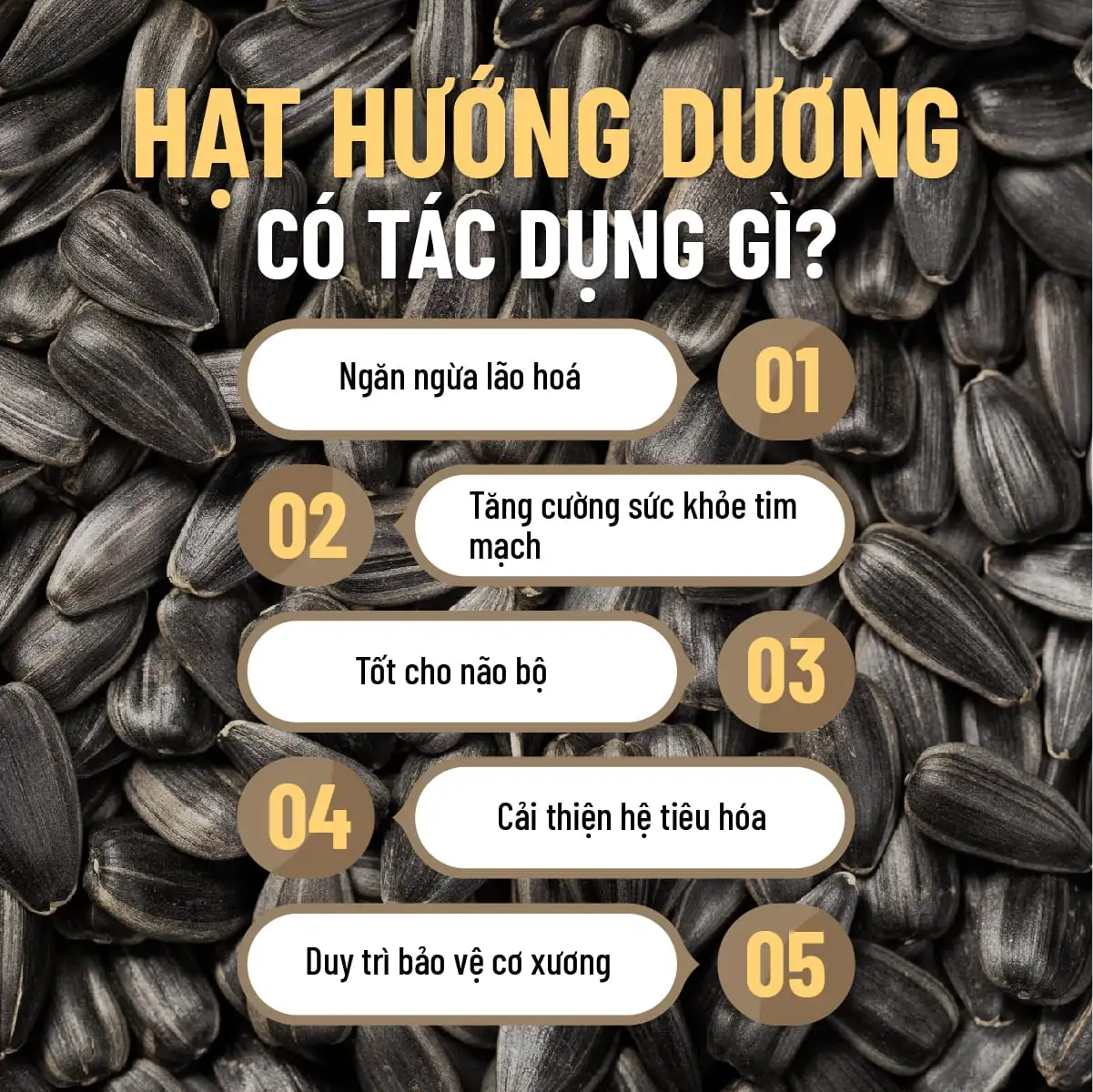 100g-hat-huong-duong-bao-nhieu-calo-an-tot-khong-min