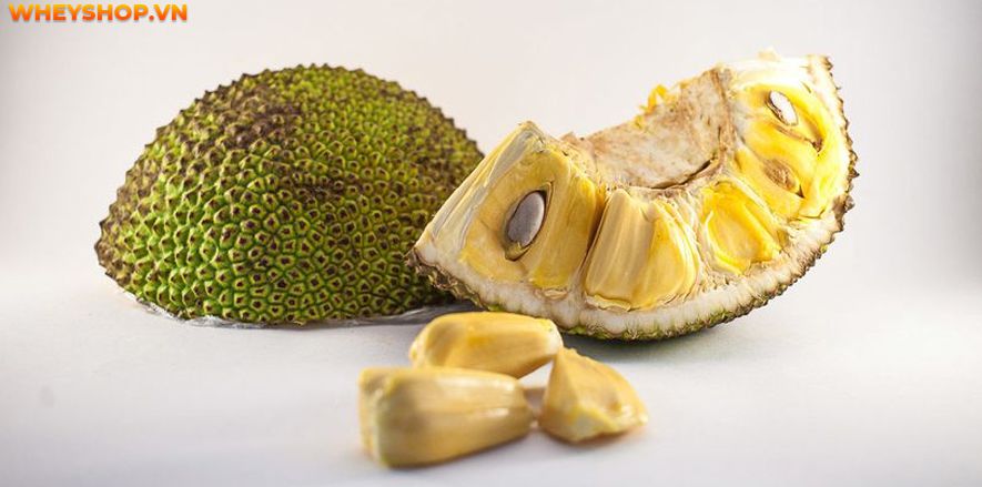 Nếu bạn đang băn khoăn 100g mít bao nhiêu calo và ăn nhiều mít có mập không thì hãy cùng WheyShop tham khảo chi tiết bài viết sau đây...