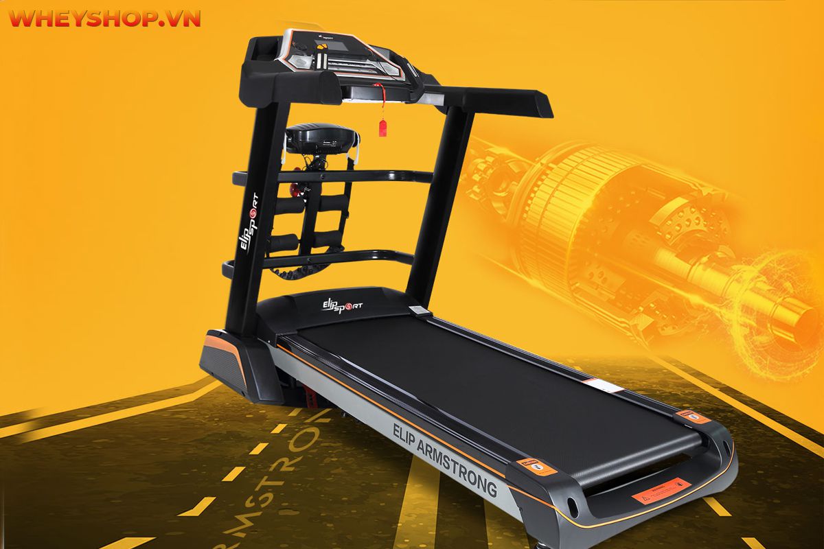 Nếu bạn đang thắc mắc nên mua máy chạy bộ Elip hay Kingsport thì tham khảo ngay bài viết review đánh giá chi tiết các máy chạy bộ...