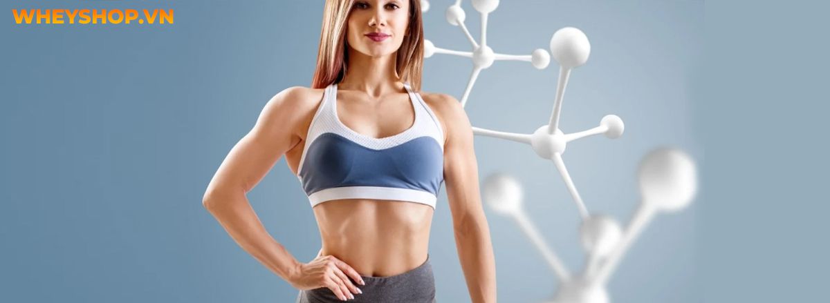 Nếu bạn đã tìm hiểu về trao đổi chất hãy cùng WheyShop tham khảo 9 cách tăng cường trao đổi chất đơn giản, hỗ trợ giảm cân nhanh chóng, hiệu quả....