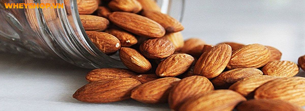 Tìm hiểu vai trò của thực phẩm giàu chất xơ đối với sức khỏe và top 30 thực phẩm giàu chất xơ tốt nhất mà WheyShop chia sẻ trong bài viết...