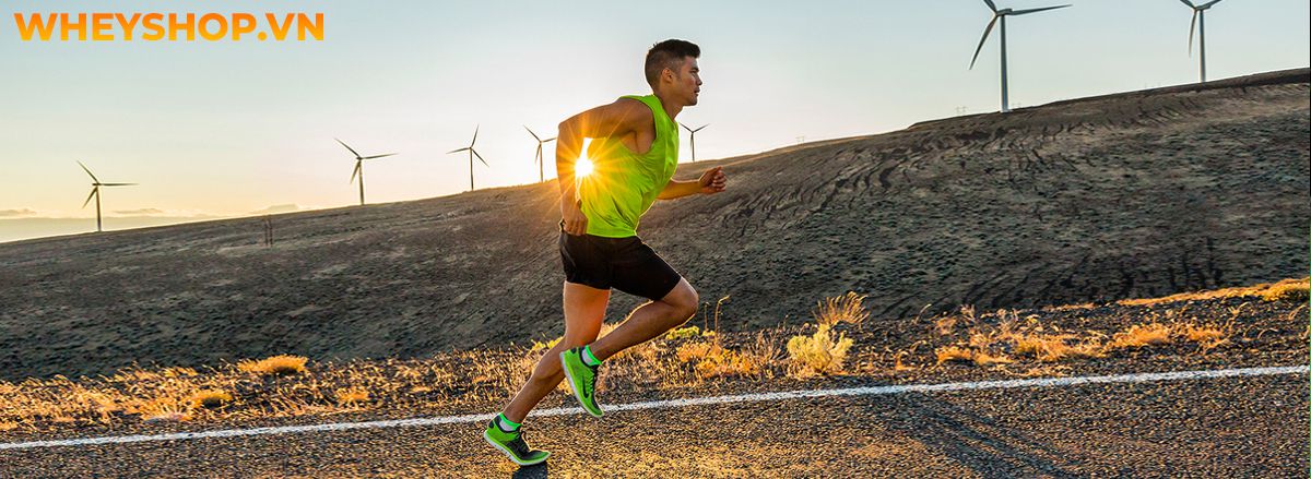 Nếu bạn đang băn khoăn tìm kiếm bài tập giảm mỡ toàn thân thì hãy cùng WheyShop điểm qua ngay 15 bài tập giảm mỡ toàn thân hiệu quả bất ngờ...