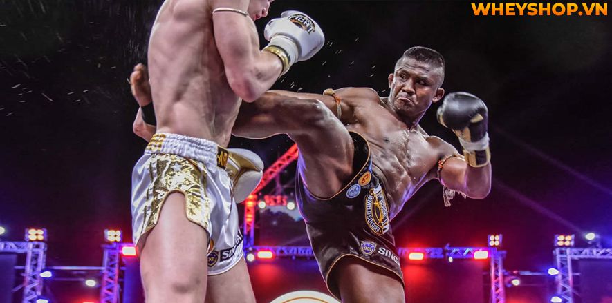 Mặc dù muay thai là một môn võ thuật nổi bật, nhưng cũng có một yếu tố gọi là clinch (vật lộn) cho phép người sử dụng có thể ra đòn và vật lộn với đối thủ...