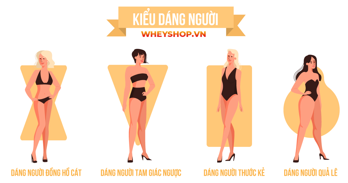 Tập gym ngày này trở thành bộ môn phổ biến mang lại nhiều lợi ích sức khỏe. Quần áo tập gym là lựa chọn trang phục cần thiết, phù hợp với mục đích tập luyện