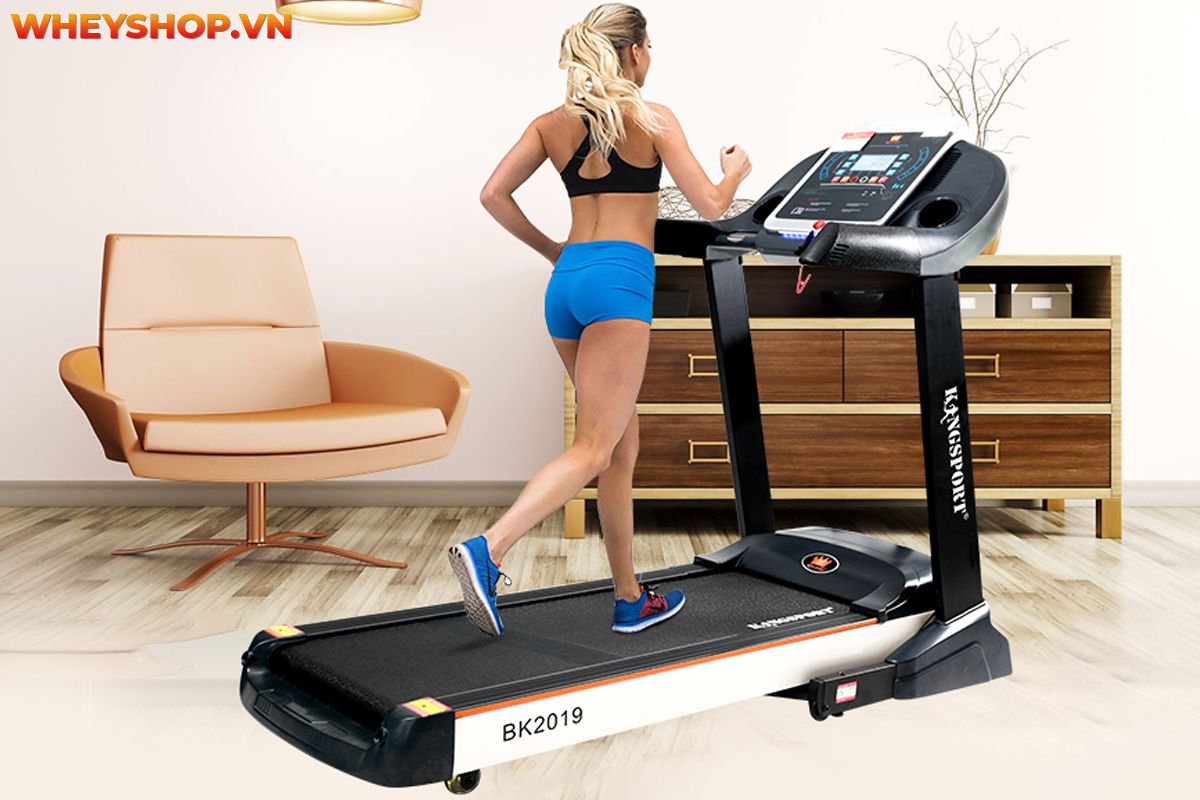 Nếu bạn đang thắc mắc nên mua máy chạy bộ Elip hay Kingsport thì tham khảo ngay bài viết review đánh giá chi tiết các máy chạy bộ...