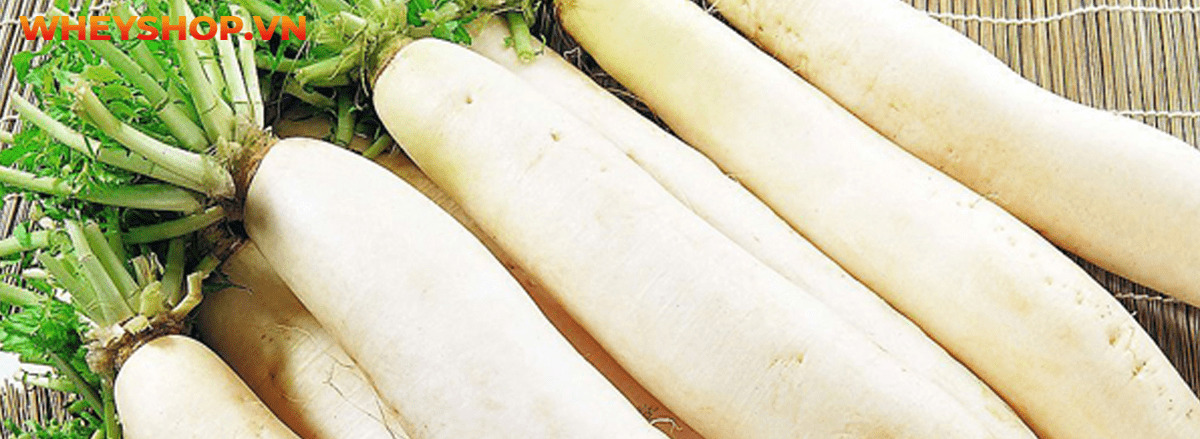 Carb là gì? Tìm hiểu chi tiết về carb cùng 15 sự thật về carb mà bạn chưa từng biết tới qua bài viết sau đây cùng WheyShop nhé ....