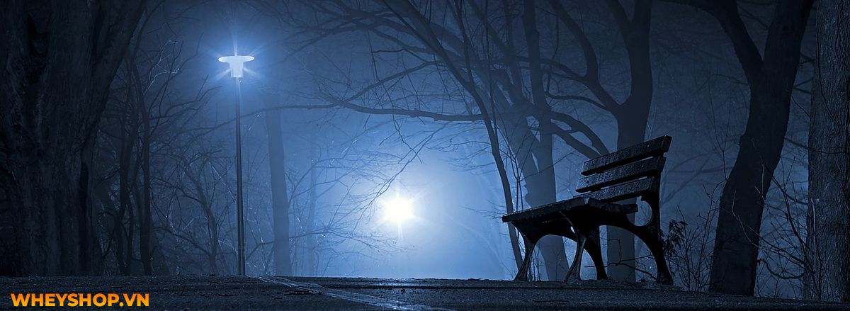 Tháng cô hồn là gì? Cùng WheyShop tìm hiểu về tháng cô hồn và những điều TUYỆT ĐỐI KHÔNG ĐƯỢC LÀM trong tháng cô hồn nhé...