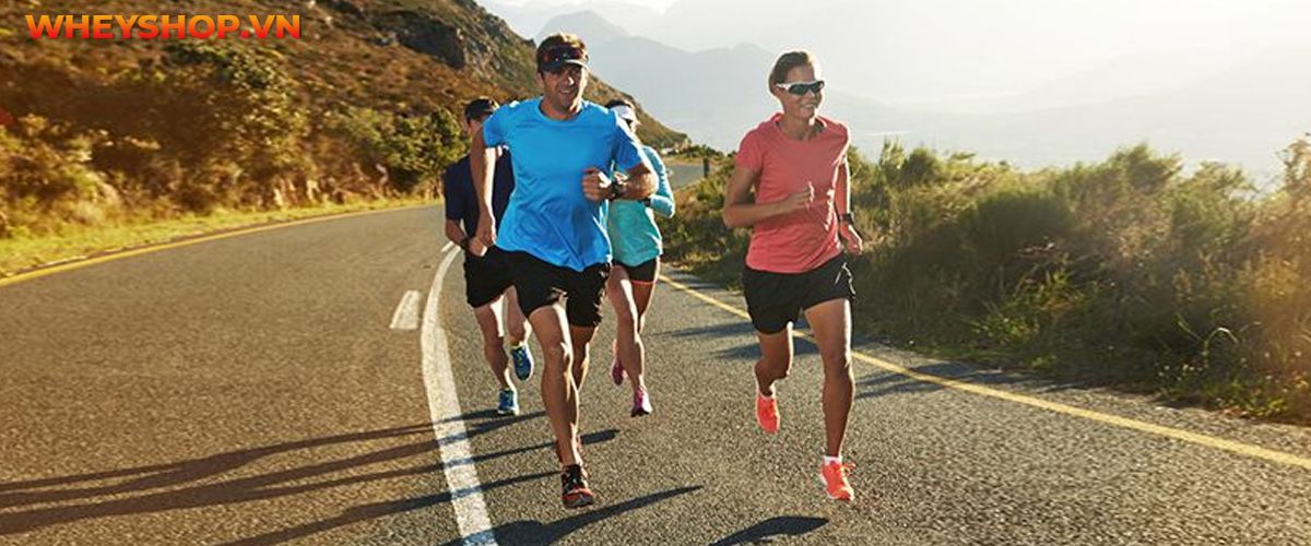 Chạy bộ là gì? Tác dụng của chạy bộ? Cùng WheyShop tìm hiểu ngay 25 lợi ích của việc chạy bộ thường xuyên bạn cần phải biết ....