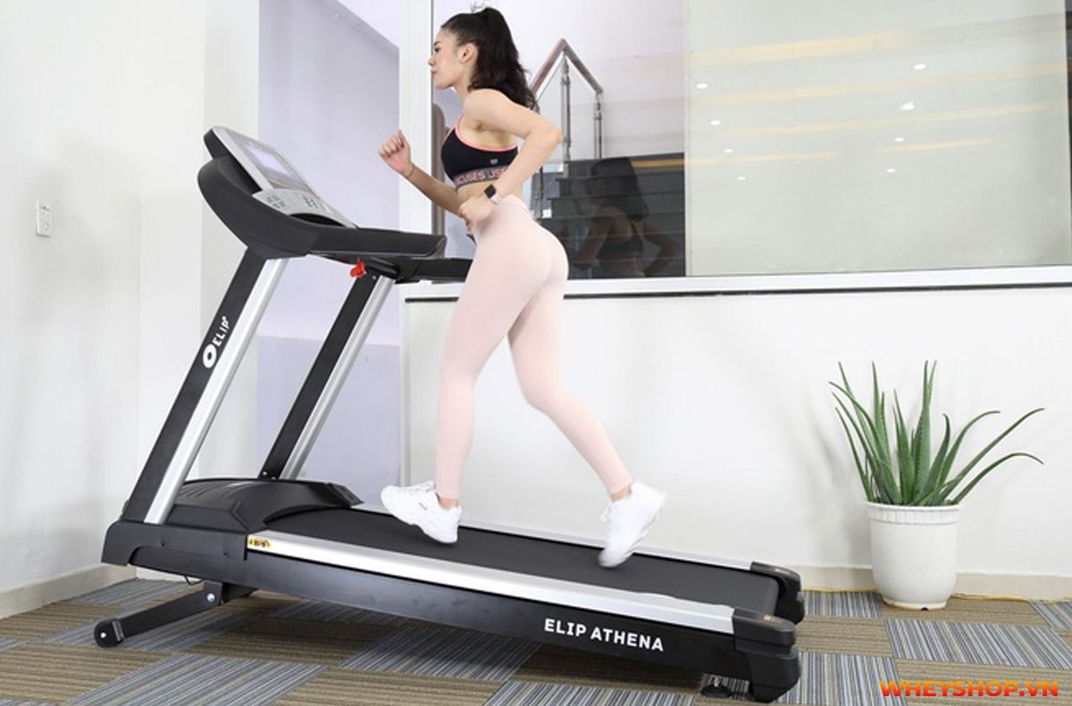 Nếu bạn đang băn khoăn trong việc lựa chọn máy chạy bộ Elip, hãy cùng WheyShop review đánh giá chi tiết về dòng máy chạy bộ này nhé...