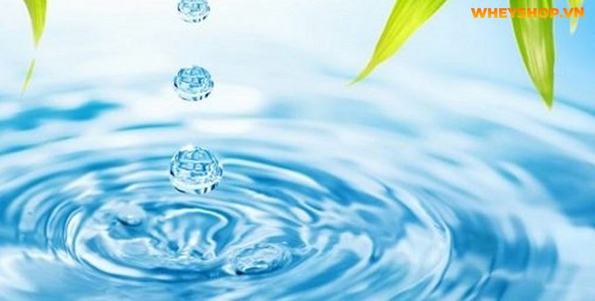 Nếu bạn đang phân v��n trong việc tìm cách uống nước giảm cân thì hãy cùng WheyShop tham khảo ngay 5 cách lên lịch uống nước giảm cân...