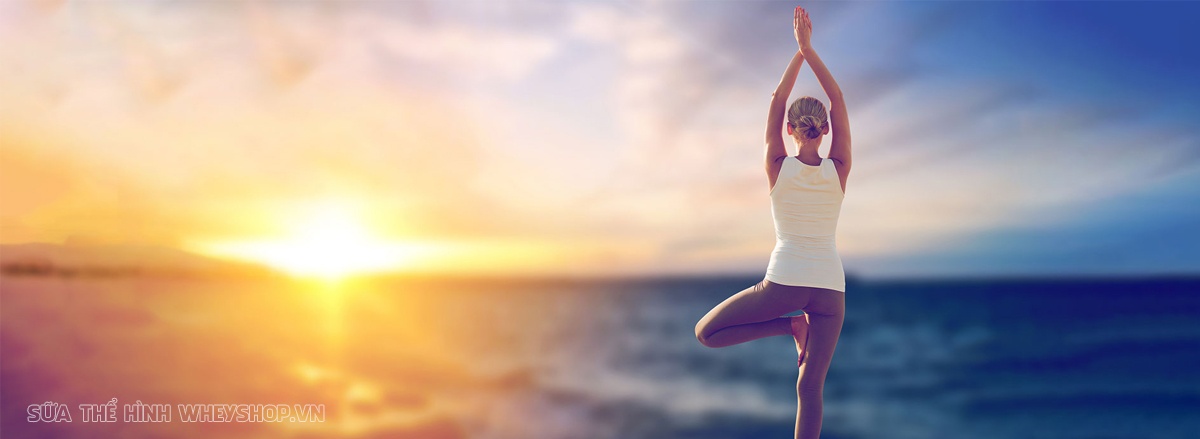 Tập Yoga mang lại nhiều lợi ích cho sức khỏe, tuy nhiên tập Yoga khó hay dễ ? Hãy cùng WheyShop tìm hiểu ngay 12 Bài tập Yoga cho người mới bắt đầu cần biết...