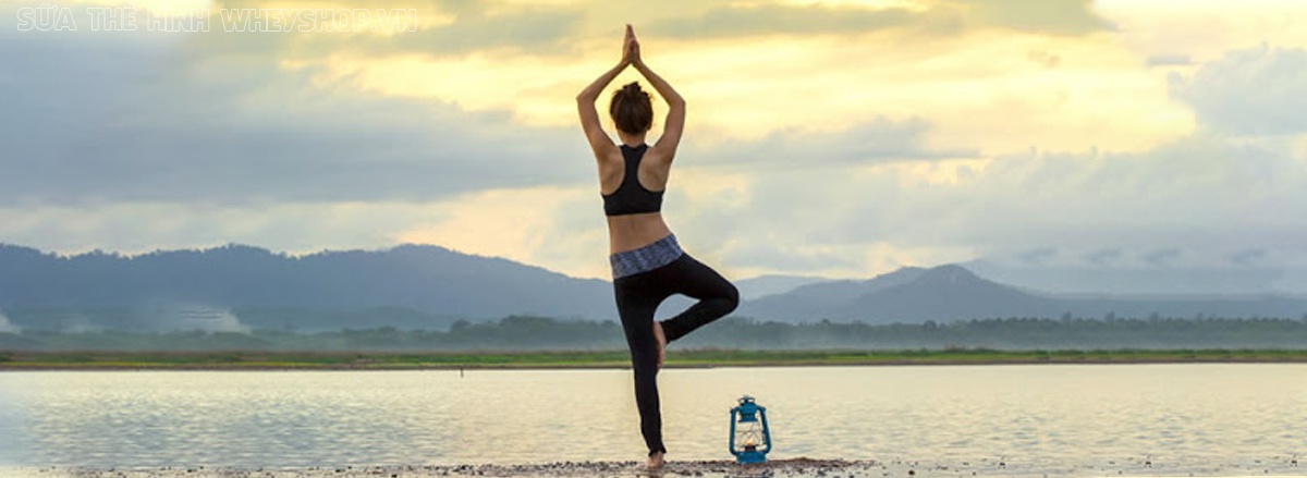 Cùng WheyShop tìm hiểu ngay 12 bài tập Yoga giảm mỡ bụng tại nhà, tập Yoga tại nhà đơn giản, hiệu quả cao dễ dàng thực hiện bất cứ lúc nào ...