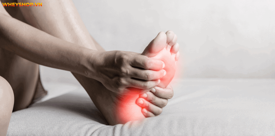 Gác chân lên tường tưởng chừng là 1 động tác vô dụng, trên thực tế động tác này đem lại vô vàn lợi ích về sức khỏe. Hãy cùng WheyShop xem chuyên gia giải đáp...