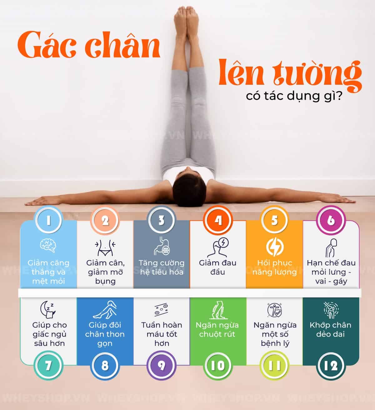 Gác chân lên tường tưởng chừng là 1 động tác vô dụng, trên thực tế động tác này đem lại vô vàn lợi ích về sức khỏe. Hãy cùng WheyShop xem chuyên gia giải đáp...