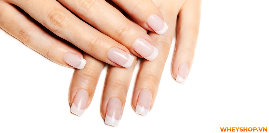 Nếu bạn đang băn khoăn tìm cách chăm sóc móng tay dài đẹp tự nhiên thì hãy cùng WheyShop tham khảo 12 tuyệt chiêu qua bài viết...