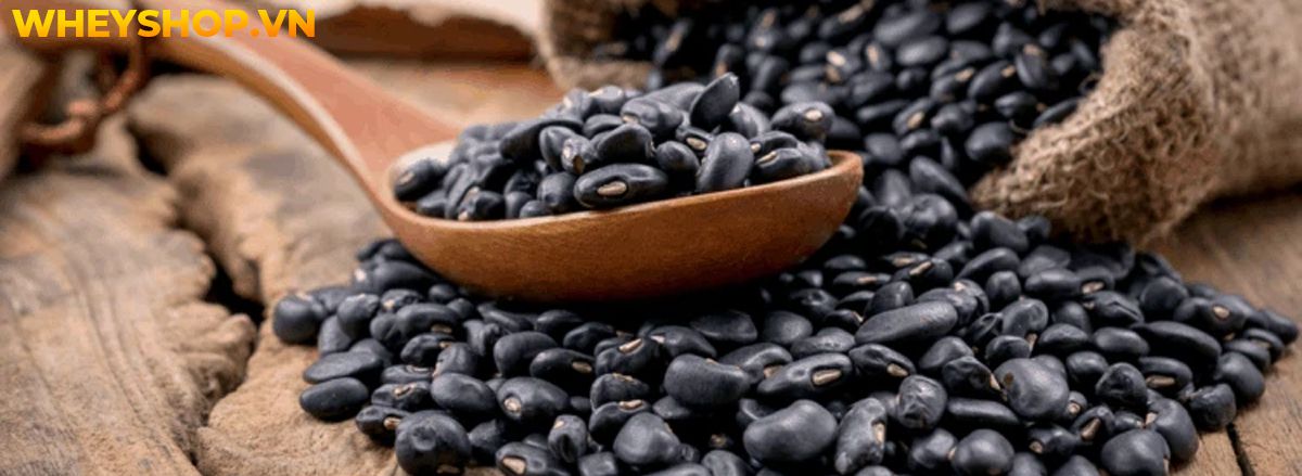 Nếu bạn đang băn khoăn tìm kiếm thực phẩm giàu chất xơ giảm cân thì hãy cùng WheyShop điểm qua 30 thực phẩm giàu chất xơ giảm cân trong bài..