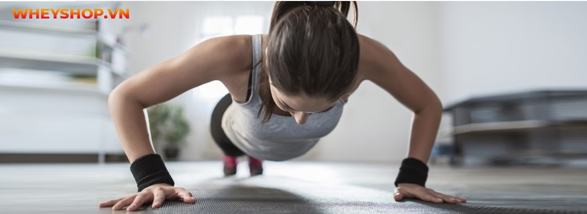 Hít đất đúng cách tưởng chừng dễ nhưng lại khó. Cùng WheyShop tìm hiểu thêm về kỹ thuật Hít đất đúng cách hiệu quả qua bài viết ngay nhé ...