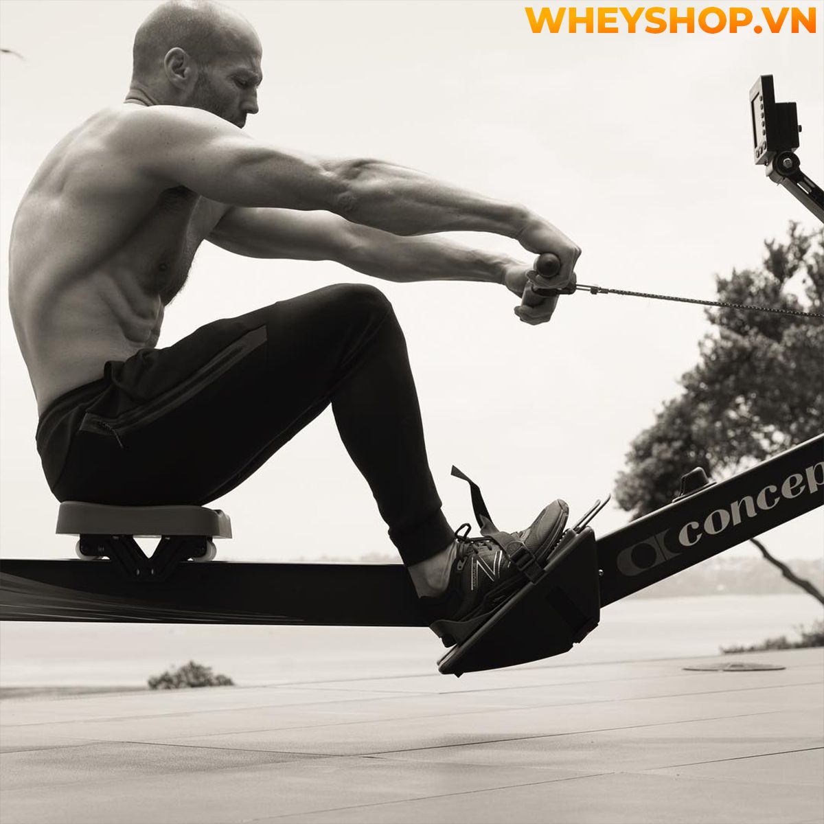 Jason Statham được biết đến là một diễn viên, nhà sản xuất phim và là một võ sĩ người Anh. Ngoài ra, anh còn là một thành viên trong đội lặn của quốc gia Anh...