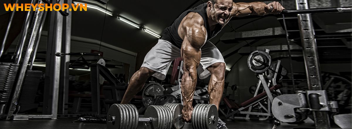 Nếu bạn đang băn khoăn tìm kiếm bài tập giảm mỡ toàn thân thì hãy cùng WheyShop điểm qua ngay 15 bài tập giảm mỡ toàn thân hiệu quả bất ngờ...