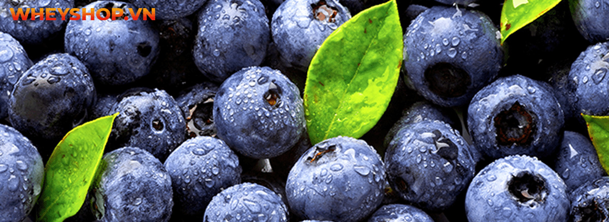 Carb là gì? Tìm hiểu chi tiết về carb cùng 15 sự thật về carb mà bạn chưa từng biết tới qua bài viết sau đây cùng WheyShop nhé ....