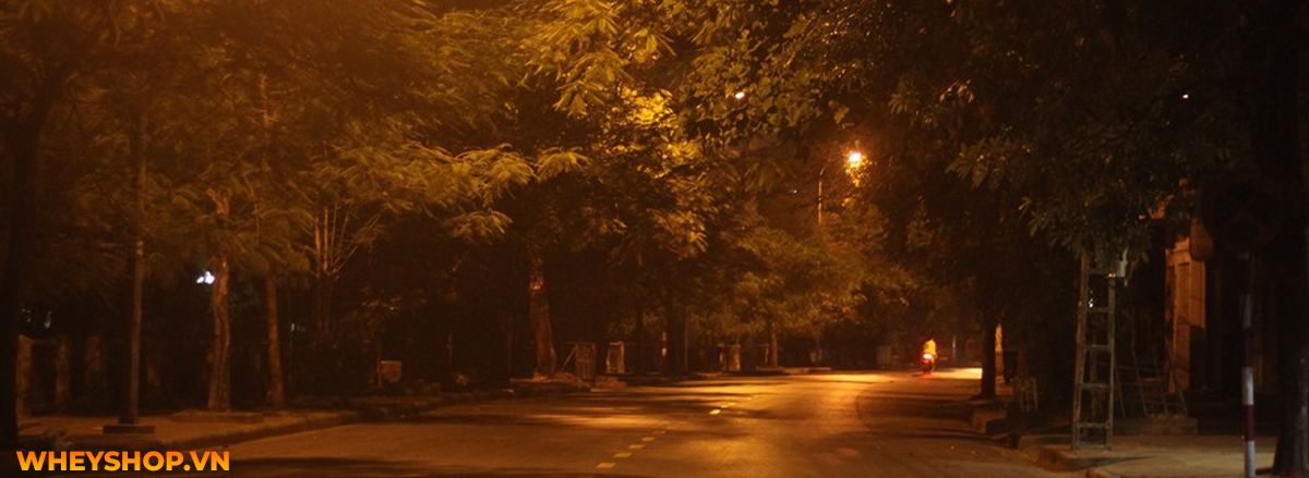 Tháng cô hồn là gì? Cùng WheyShop tìm hiểu về tháng cô hồn và những điều TUYỆT ĐỐI KHÔNG ĐƯỢC LÀM trong tháng cô hồn nhé...