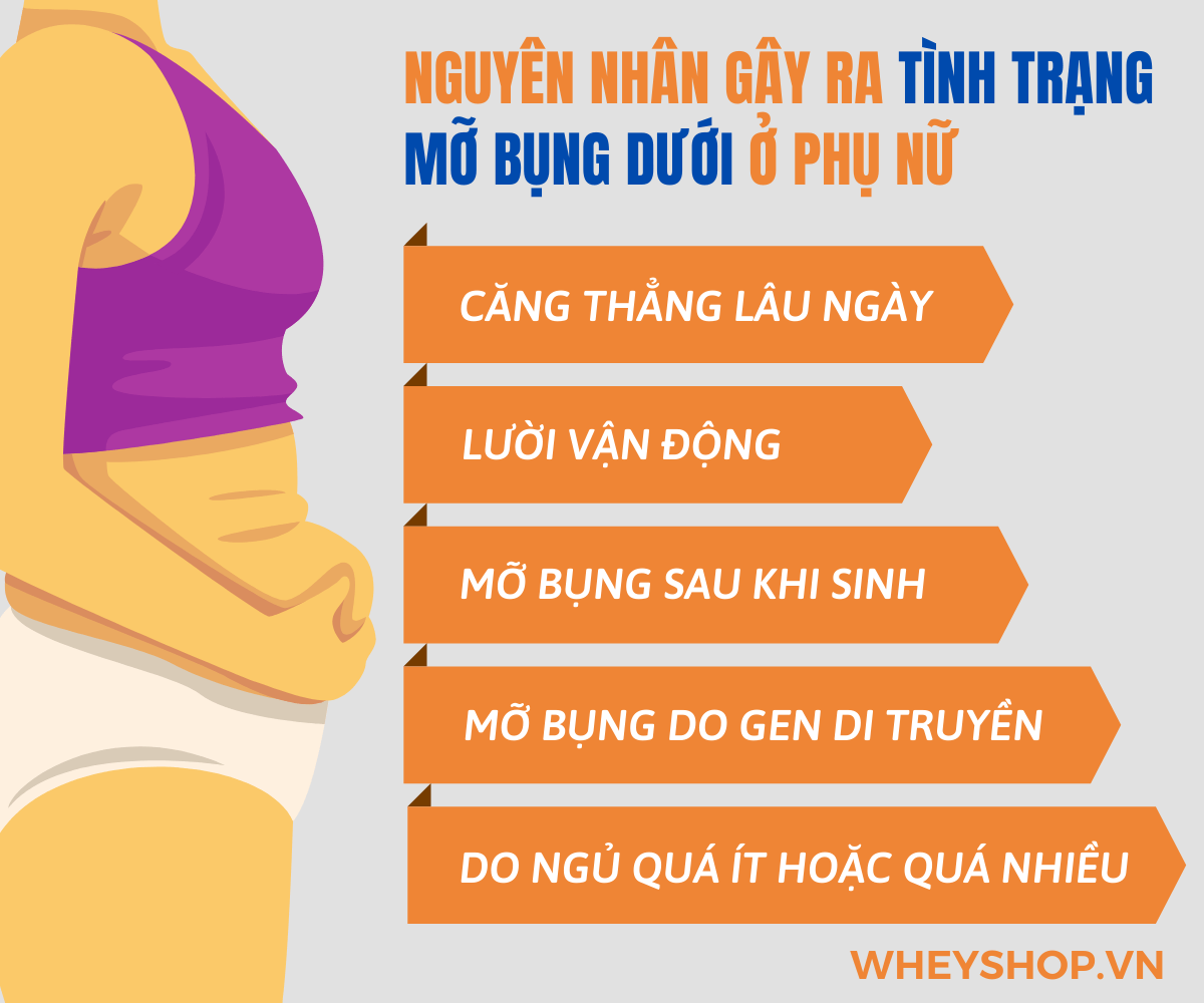 Cách giảm mỡ bụng dưới cho nữ hiệu quả và an toàn là điều vô cùng quan trọng. Tuy nhiên, khi chị em có quá nhiều giải pháp khiến họ băn khoăn và lo lắng...