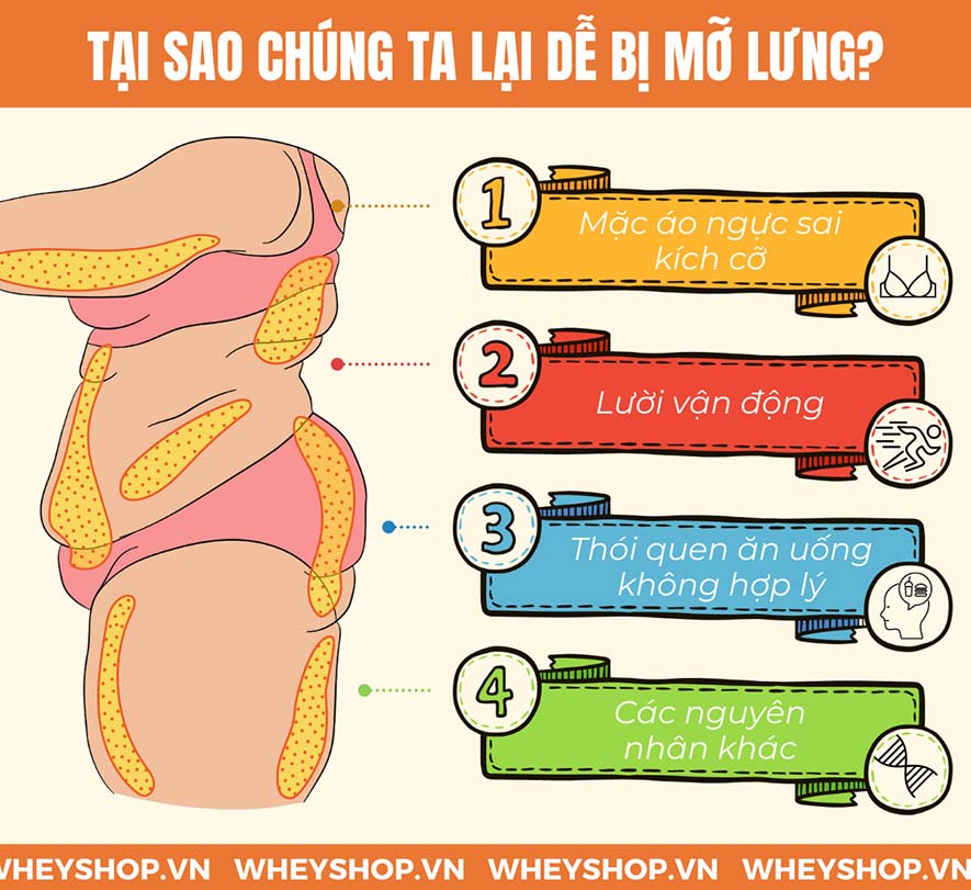 Lưng và vai được coi là một trong những vùng khó giảm mỡ nhất trên cơ thể. Vậy làm cách nào để giảm mỡ lưng, có được một đôi vai thon gọn, mà không cần phải...