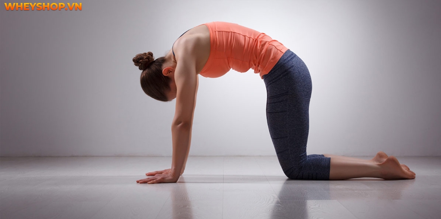 Lưng và vai được coi là một trong những vùng khó giảm mỡ nhất trên cơ thể. Vậy làm cách nào để giảm mỡ lưng, có được một đôi vai thon gọn, mà không cần phải...