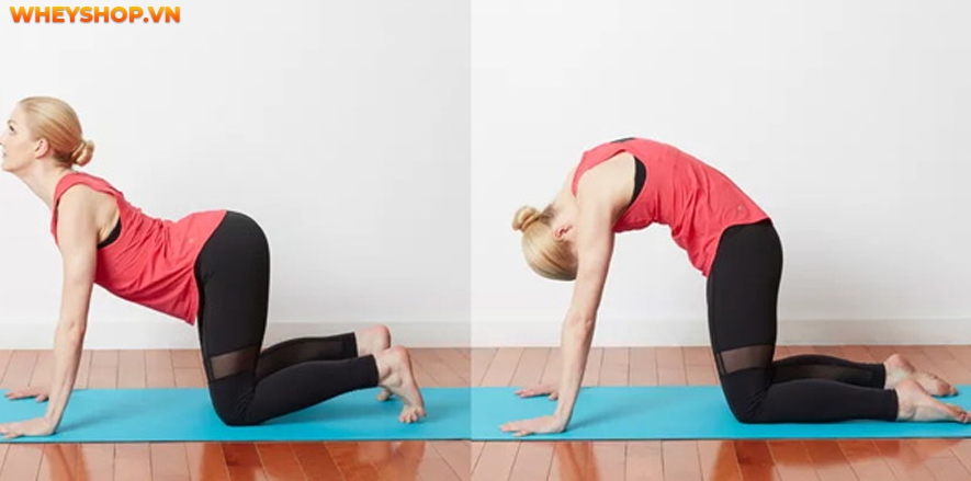 Lưng và vai được coi là một trong những vùng khó giảm mỡ nhất trên cơ thể. Vậy làm cách nào để giảm mỡ lưng, có được một đôi vai thon gọn, mà không cần phải...