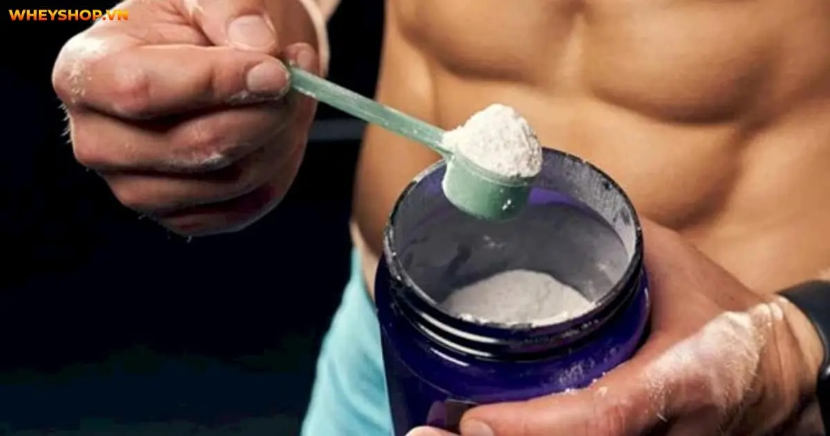 15-bai-tap-tang-suc-ben-cho-gymer-hieu-qua-nhat-7