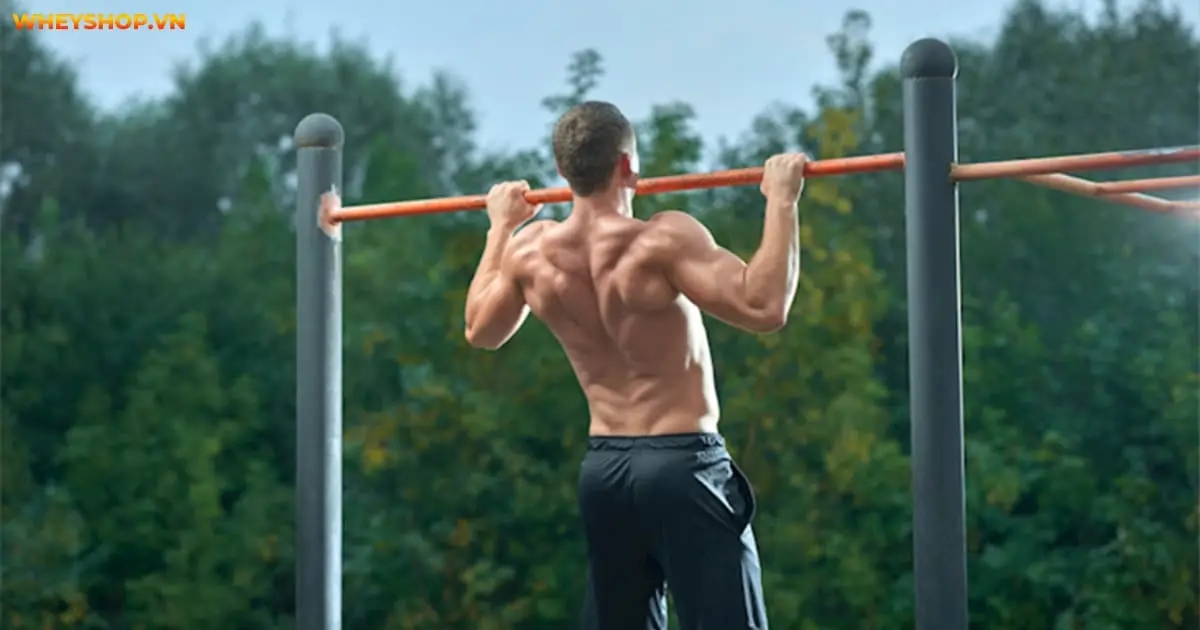 15-bai-tap-tang-suc-ben-cho-gymer-hieu-qua-nhat-7