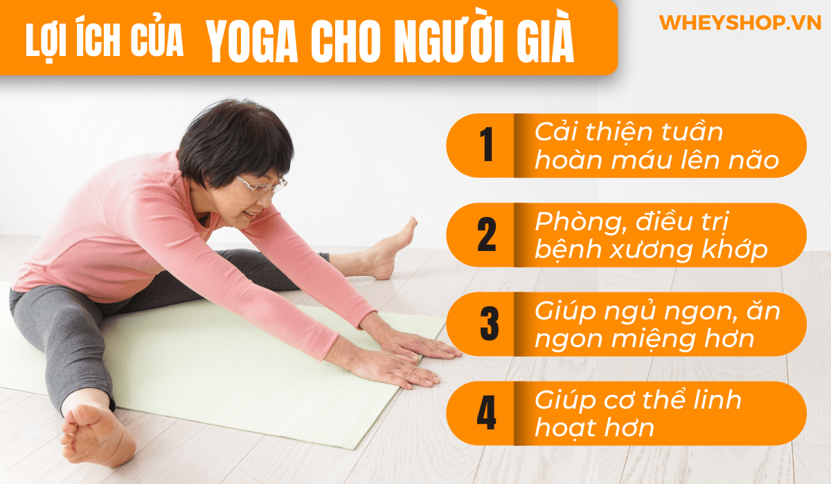 Nếu bạn đang tìm kiếm những bài tập Yoga cho người cao tuổi thì hãy cùng WheyShop tham khảo 15 bài tập hiệu quả nhất qua bài viết...
