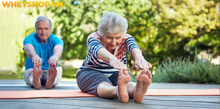Nếu bạn đang tìm kiếm những bài tập Yoga cho người cao tuổi thì hãy cùng WheyShop tham khảo 15 bài tập hiệu quả nhất qua bài viết...