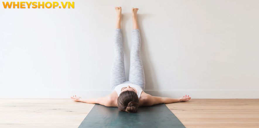 Nếu bạn đang tìm kiếm những bài tập Yoga cho người cao tuổi thì hãy cùng WheyShop tham khảo 15 bài tập hiệu quả nhất qua bài viết...