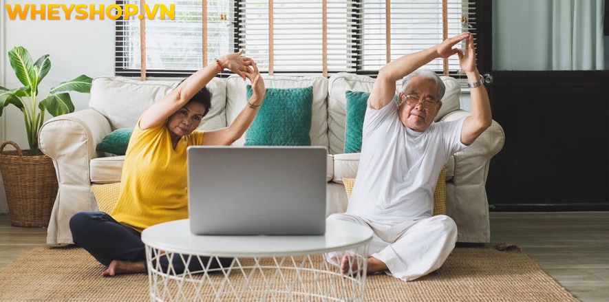 Nếu bạn đang tìm kiếm những bài tập Yoga cho người cao tuổi thì hãy cùng WheyShop tham khảo 15 bài tập hiệu quả nhất qua bài viết...