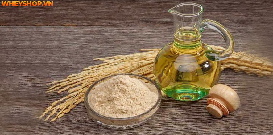 Nếu bạn đang băn khoăn trong việc tìm cách sử dụng dầu oliu dưỡng da thì hãy cùng WheyShop tham khảo chi tiết 15 cách qua bài viết...