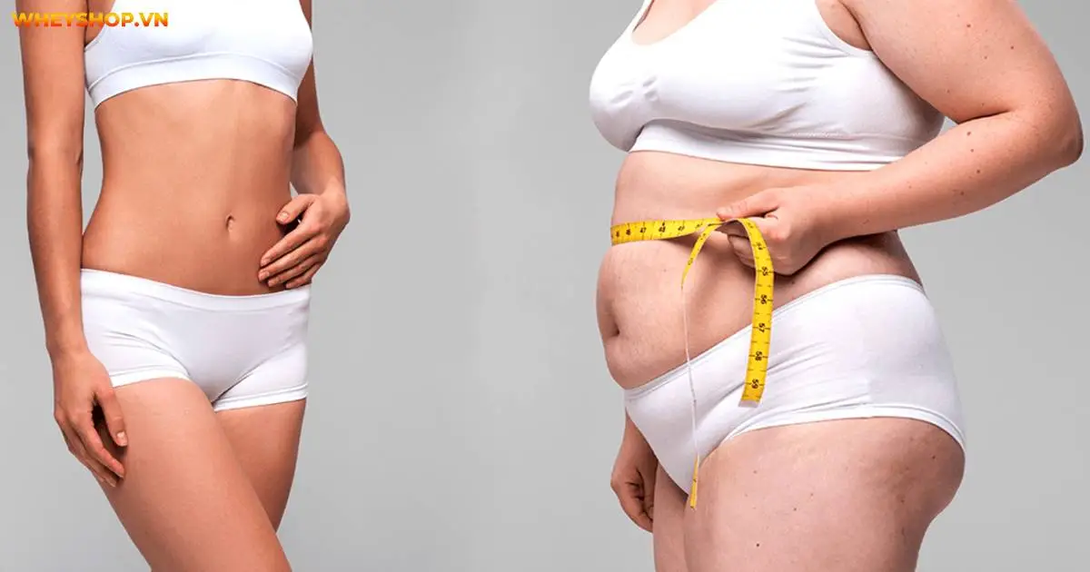 15-cach-giam-mo-bung-tu-nhien-tai-nha-nhanh-nhat-4