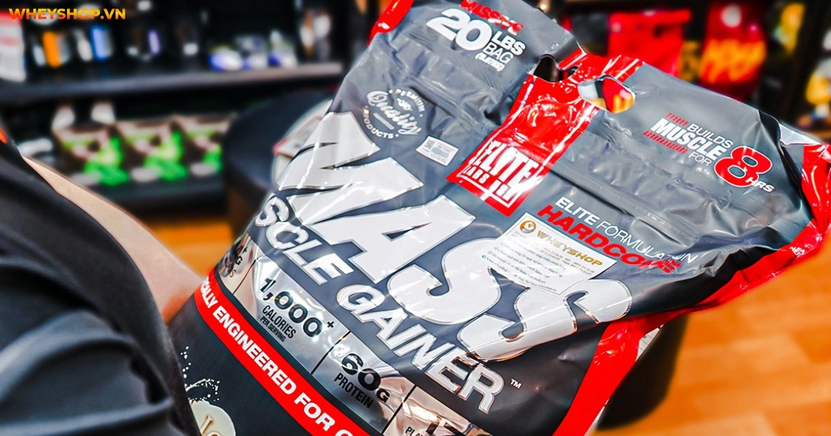 15-loai-sua-tang-can-mass-gainer-cho-nguoi-gay(2)