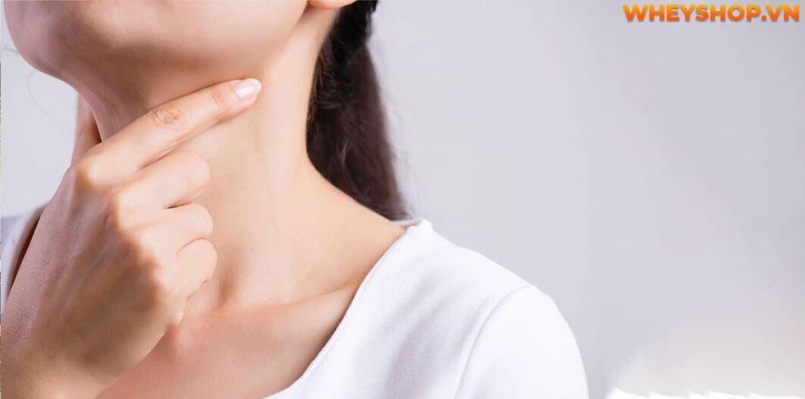 Cảm giác đói bụng liên tục ảnh hưởng đến các hoạt động hàng ngày cũng như hiệu suất trong công việc. Có nhiều yếu tố gây ra tình trạng này, chúng có thể là...