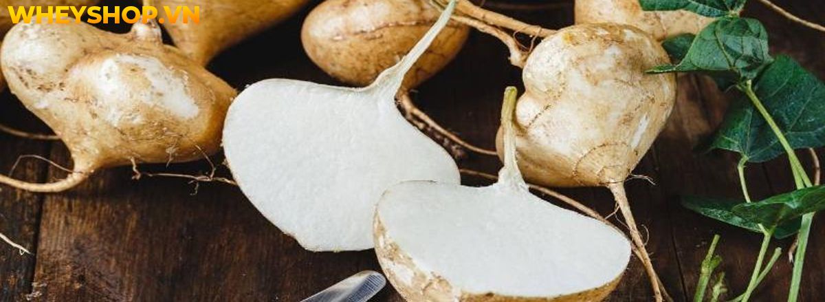 Nếu bạn đang băn khoăn tìm kiếm thực phẩm giàu chất xơ giảm cân thì hãy cùng WheyShop điểm qua 30 thực phẩm giàu chất xơ giảm cân trong bài..