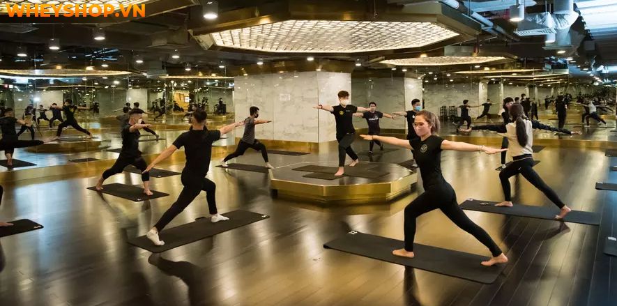 Địa chỉ phòng tập tập Yoga TpHCM vô cùng phong phú và đa dạng, điều này đôi khi khiến người muốn tập bối rối và không biết lựa chọn địa điểm nào phù hợp. Bài...