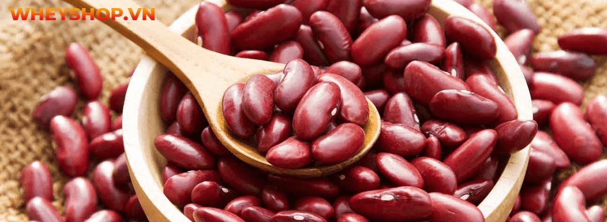 Carb là gì? Tìm hiểu chi tiết về carb cùng 15 sự thật về carb mà bạn chưa từng biết tới qua bài viết sau đây cùng WheyShop nhé ....