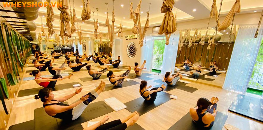 Địa chỉ phòng tập tập Yoga TpHCM vô cùng phong phú và đa dạng, điều này đôi khi khiến người muốn tập bối rối và không biết lựa chọn địa điểm nào phù hợp. Bài...