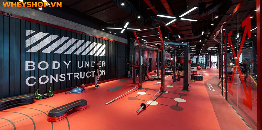 Địa chỉ phòng tập tập Yoga TpHCM vô cùng phong phú và đa dạng, điều này đôi khi khiến người muốn tập bối rối và không biết lựa chọn địa điểm nào phù hợp. Bài...