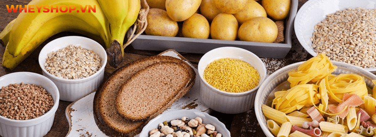 Carb là gì? Tìm hiểu chi tiết về carb cùng 15 sự thật về carb mà bạn chưa từng biết tới qua bài viết sau đây cùng WheyShop nhé ....