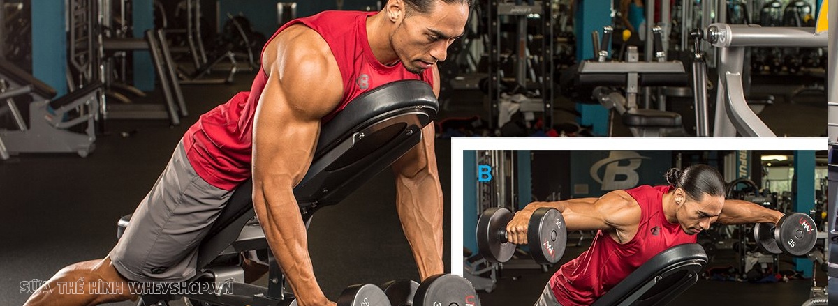 Cùng WheyShop tìm hiểu ngay 19 bài tập vai với tạ đơn tốt nhất mọi thời đại, giúp bạn sở hữu cơ vai săn chắc, toàn diện và hiệu quả ...
