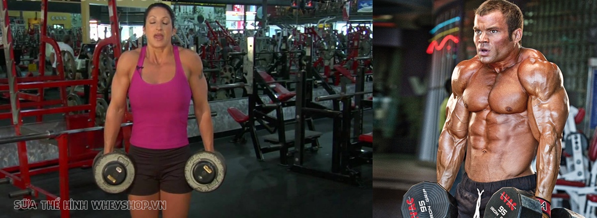 Cùng WheyShop tìm hiểu ngay 19 bài tập vai với tạ đơn tốt nhất mọi thời đại, giúp bạn sở hữu cơ vai săn chắc, toàn diện và hiệu quả ...