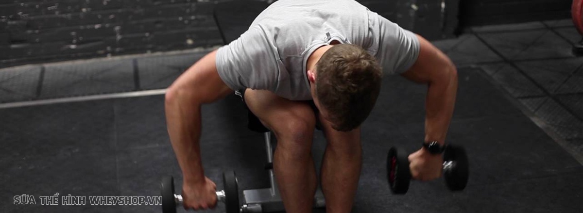 Cùng WheyShop tìm hiểu ngay 19 bài tập vai với tạ đơn tốt nhất mọi thời đại, giúp bạn sở hữu cơ vai săn chắc, toàn diện và hiệu quả ...